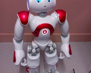 NAO LE ROBOT A LA PEPINIERE !