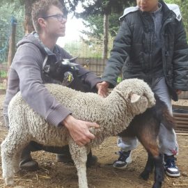 4/05 – SEES ferme 
