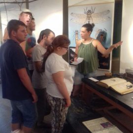 Visite au Beausset